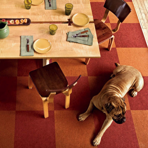 Flor?? Eco-Friendly Carpet Squares