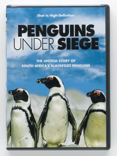 Penguins Under Siege
