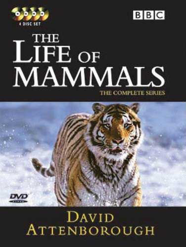 The Life of Mammals DVDs