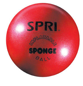  SPRI Sponge Ball 