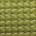 fern