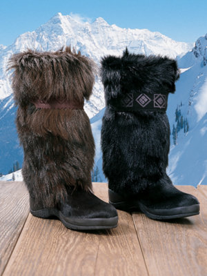 polar boot