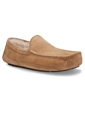 ascot slipper chestnut