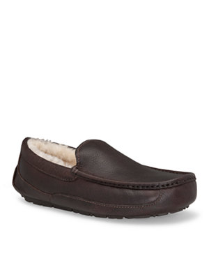 ascot slipper