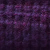 purple heather
