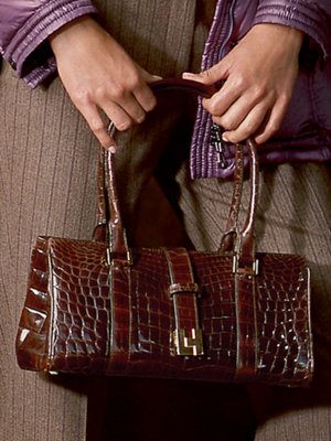 wells bag