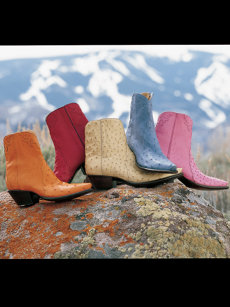 wendy boot