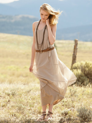 amie voile dress