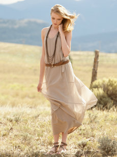 amie voile dress