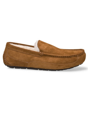 ascot slipper chestnut