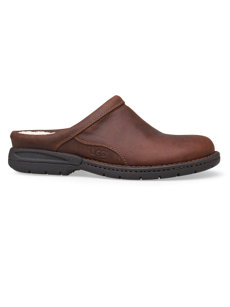 herald clog