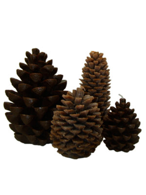 pinecone candle large