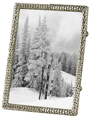 scales platinum frame 4x6