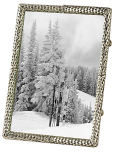 scales platinum frame 4x6