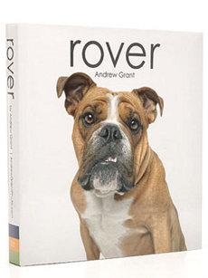 rover 