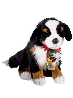 bernese ben with bell