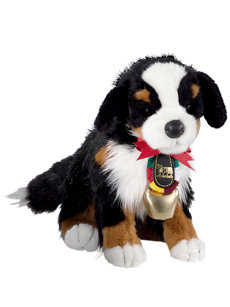 bernese ben with bell