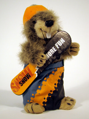 snowboarding marmot