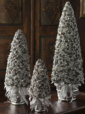 silver clove tree 24