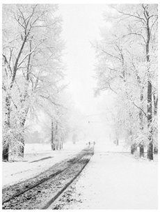 lake avenue