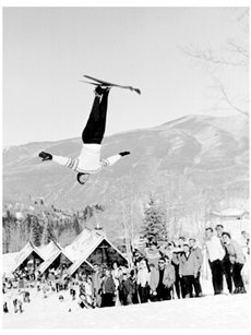 stein flipping