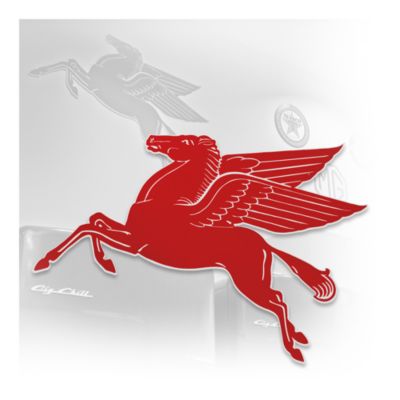 Pegasus Sign