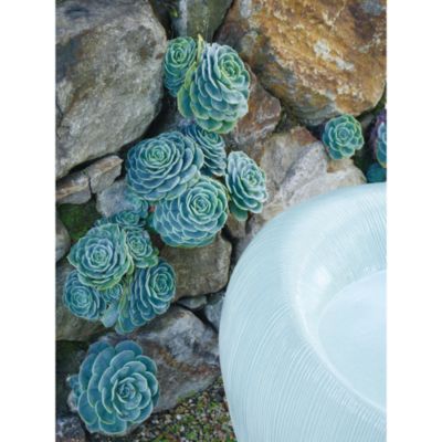 Shown In: Sea Slug finish