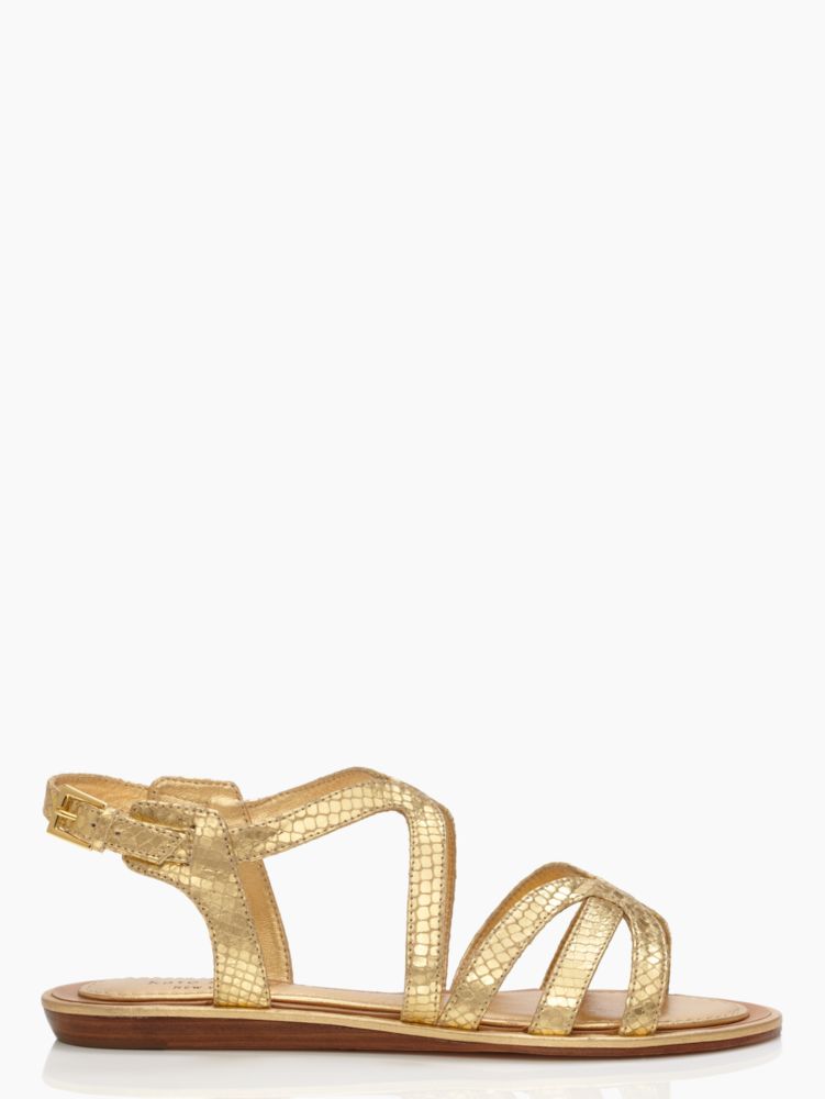 intro sandal