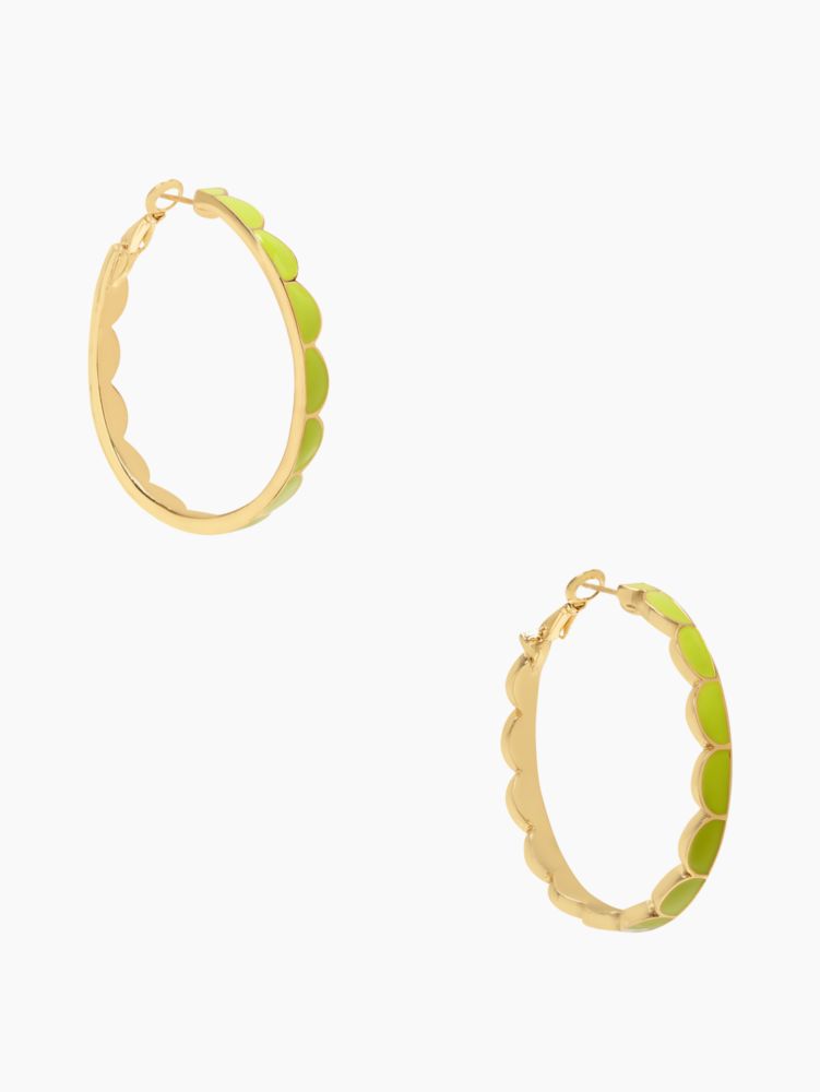 scallop hoops