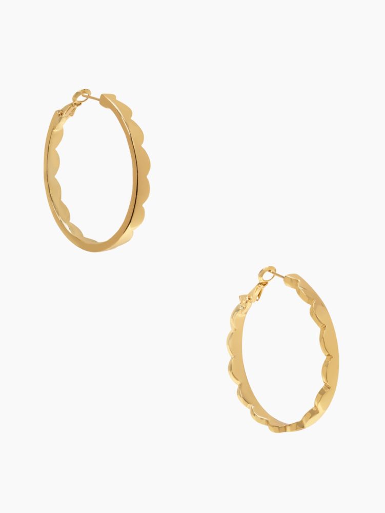 scallop hoops