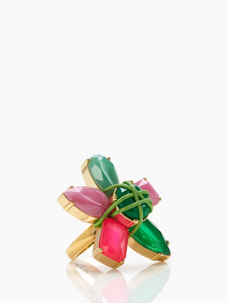 pop garden ring