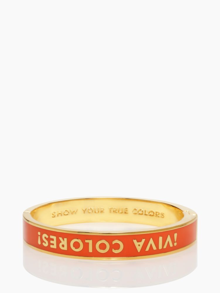 show your true colors hinged idiom bangle