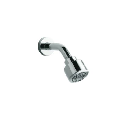 One 2.0 GPM Showerhead with Arm