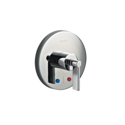 One Thermostatic Valve Trim, Lever Handle