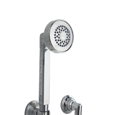 Jeton by Bill Sofield Handshower and Hose