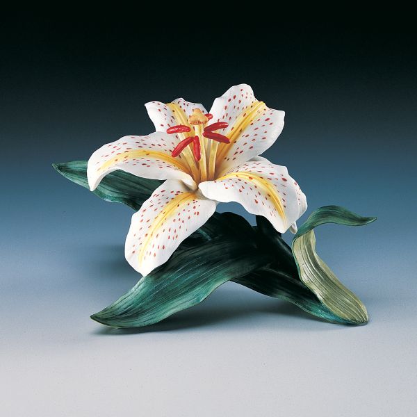 Auratum Day Lily