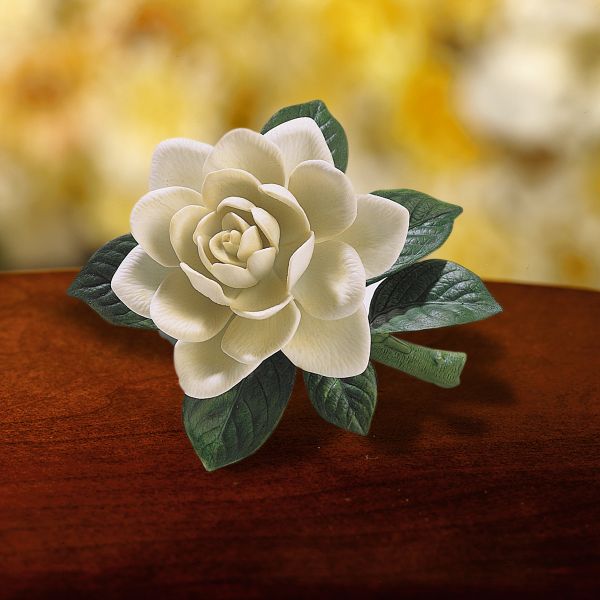 Gardenia