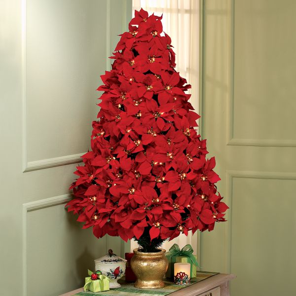 Poinsettia Tree
