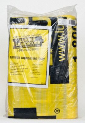 Lumber Liquidators 20