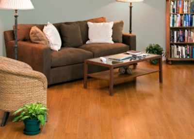 Dream Home - St. James&nbsp;-&nbsp;12mmx5 3/8"&nbsp;HDF/Laminate