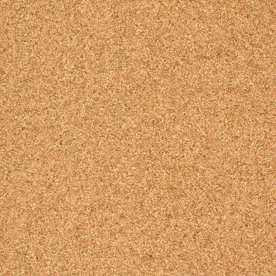6mm 2' x 3' Cork Underlayment Sheet