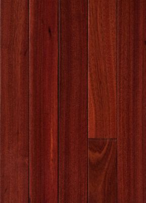 3/4" x 2-1/4" Bloodwood image