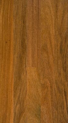 BELLAWOOD&nbsp;Select&nbsp;3/4"x2 1/4"&nbsp;Cumaru&nbsp;Coumarouna Odorata&nbsp;3540&nbsp;Prefinished&nbsp;Solid