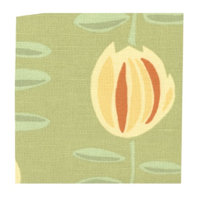May Flower