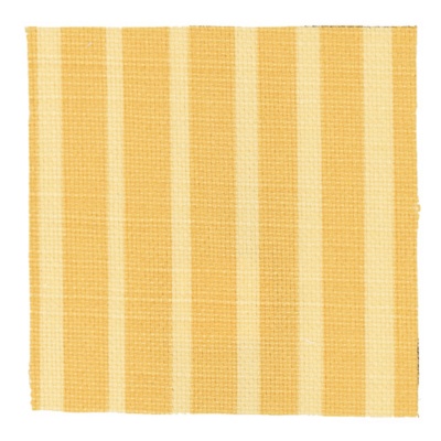 Ale on Buttercream Stripe Tease