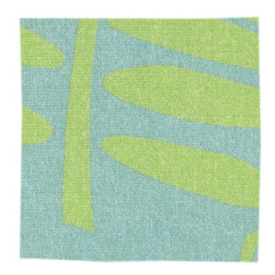 Porch Fern Leibowitz