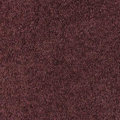 Catamaran - Dark Passion Fruit