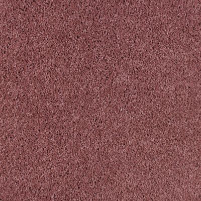Catamaran - Pink Coral