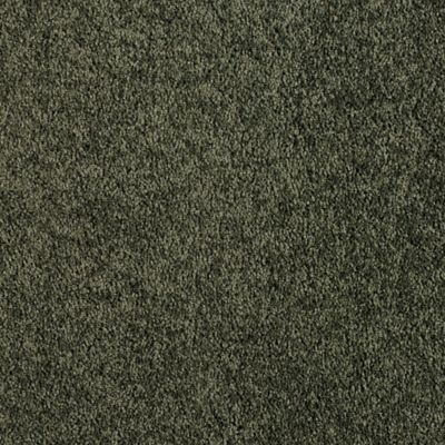 Catamaran - Tropical Fern