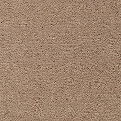 Ideal Home - Winter Garden - Plush (Best)
